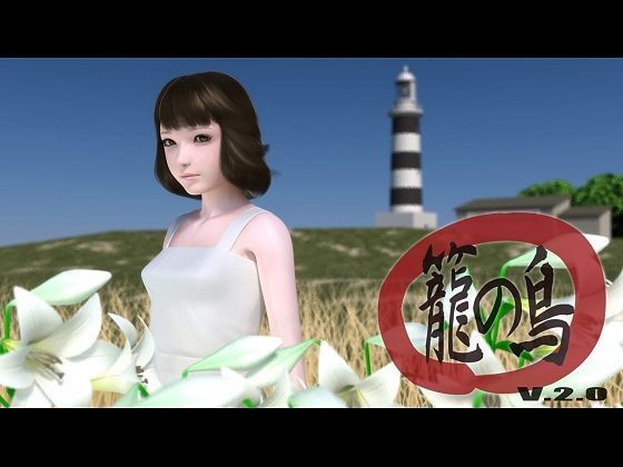 【貧乳】 籠の鳥  ver.2 【d_077013】