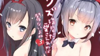 【貧乳】 クズ提督だけど愛さえあれば関係ないよね3 【d_254243】