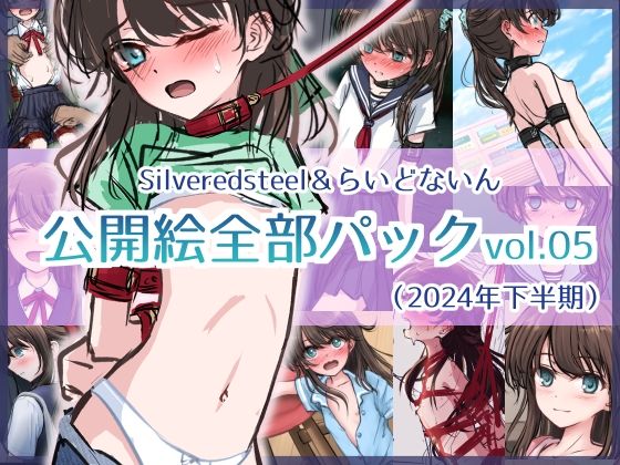 【貧乳】 Silveredsteel＆らいどないん 公開絵全部パック vol.05 （2024年下半期） 【d_505700】