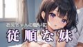 【貧乳】 お兄ちゃんの誘いに従順な妹 【d_509361】