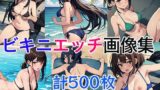 【貧乳】 ビキニエッチ画像集 【d_509883】