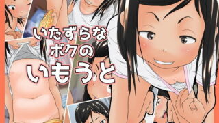 【貧乳】 いたずらなボクのいもうと 【d_153423】