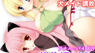 【貧乳】 ゼロの使い魔 総集編 【d_189359】