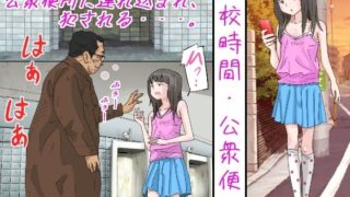 【貧乳】 下校時間・公衆便所 【d_208185】