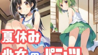【貧乳】 夏休みの帰省先で出会った親戚の女の子のパンツがたまらない 【d_434025】