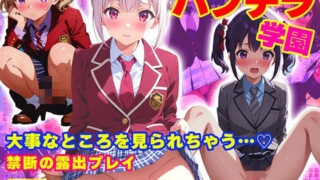 【貧乳】 私立パンチラ学園 〜パンチラから始まる物語〜 【d_462778】