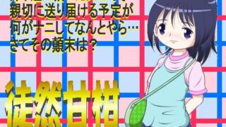 【貧乳】 徒然甘柑 【d_577334】
