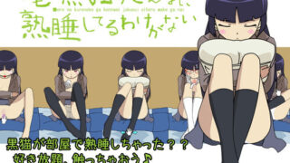 【貧乳】 俺の黒猫がこんなに熟睡してるわけがない 【d_053935】