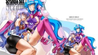 【貧乳】 Scramble box_DL 【d_072448】