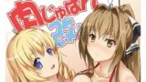 【貧乳】 肉じゅばん改！ 【d_076338】