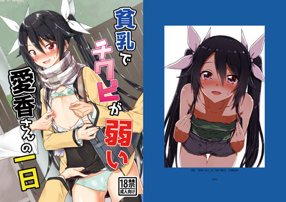 【貧乳】 貧乳でチクビが弱い愛香さんの一日 【d_169212】