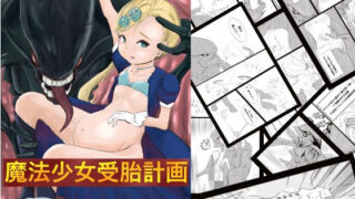 【貧乳】 魔法少女受胎計画 【d_189920】