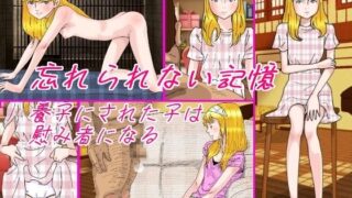 【貧乳】 忘れられない記憶 【d_220649】