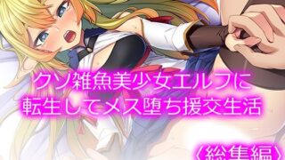 【貧乳】 クソ雑魚美少女エルフに転生してメス堕ち援交生活 ＜総集編＞ 【d_222529】
