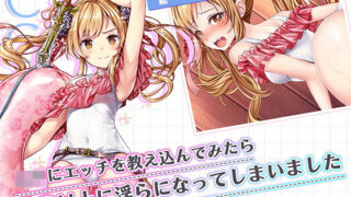 【貧乳】 ロリにエッチを教え込んでみたら想像以上に淫らになってしまいました 【d_241108】