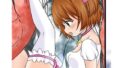 【貧乳】 敗北魔法少女「木之本さくら編」 【d_271441】