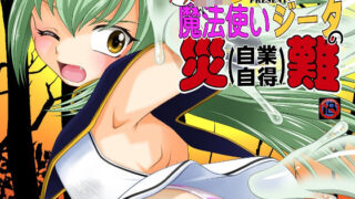 【貧乳】 メス○キ魔法使いジータの災難 【d_472127】