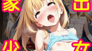 【貧乳】 家出少女大集合 〜パパ活編〜 【d_529809】