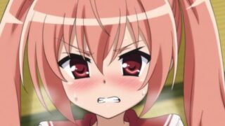 【貧乳】 『緋弾のアリア』神崎・H・アリア 【d_555235】