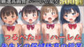 【貧乳】 【新作価格】【豪華特典あり】つるぺたロリハーレム学園  先生との保険体育の授業【500個】 【d_560535】