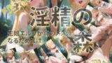 【貧乳】 淫精の森 生娘エルフが真のメスになるためには 【d_563790】