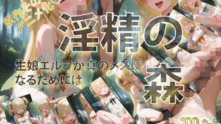 【貧乳】 淫精の森 生娘エルフが真のメスになるためには 【d_563790】
