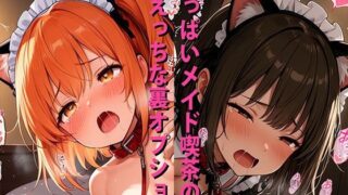 【貧乳】 ミックスガールズコレクション ちっぱいネコミミメイド喫茶のえっちな裏オプション 【d_566168】
