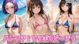 【貧乳】 ハレンチ！とらぶるビーチ2 【d_571534】