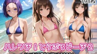 【貧乳】 ハレンチ！とらぶるビーチ2 【d_571534】