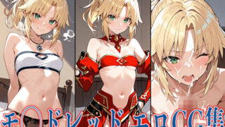 【貧乳】 FG◯ モ◯ドレッド エロCG集 【d_576711】