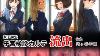 【貧乳】 女子学生 子宮検診カルテ流出 ―私立 北ヶ谷学園― 【d_578156】