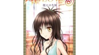 【貧乳】 あらぶる〜優エロな妹〜 【d_585282】