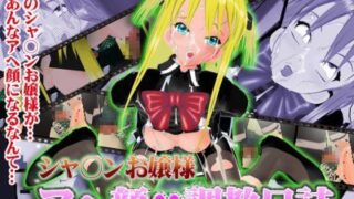 【貧乳】 シャ○ンお嬢様アヘ顔調教日誌 【d_043323】