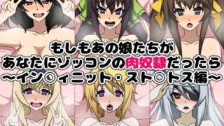 【貧乳】 もしもあの娘たちがあなたにゾッコンの肉奴●だったら〜イン○ィニット・スト○トス編〜 【d_105274】