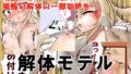 【貧乳】 解体モデル 島風編 【d_151099】