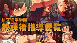 【貧乳】 私立従嬢学園 放課後指導便覧 【d_223949】