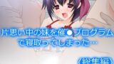 【貧乳】 片思い中の妹を催●プログラムで寝取ってしまった… ＜総集編＞ 【d_229436】