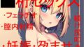【貧乳】 ◯桁でヤるか、◯桁でヤるか・・・それが問題だ 〜 しかしどちらにせよお嬢様は僕の赤子を孕むのであった 〜 【d_340231】