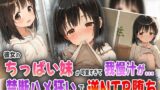 【貧乳】 彼女のちっぱい妹が可愛すぎて我慢汁が…！禁断ハメ狂いで逆NTR堕ち！ 【d_560317】