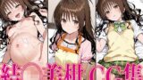 【貧乳】 T◯L◯VEる 結◯美柑 エロCG集 【d_577249】