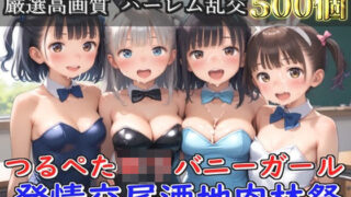 【貧乳】 【新作価格】【豪華特典あり】つるぺたロリバニーガール 発情交尾酒地肉林祭【500個】 【d_582417】