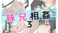 【貧乳】 妹兄相姦3 【d_594174】