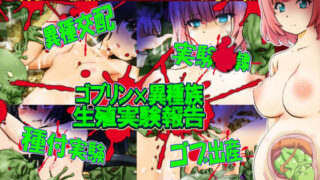 【貧乳】 ゴブリン×異種族  生殖実験報告 【d_611632】