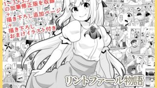 【貧乳】 リントファール物語総集編 【d_611964】