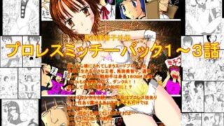 【貧乳】 馬渕美智子外伝プロレスミッチーパック1〜3 【d_039817】
