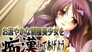 【貧乳】 お淑やかな制服美少女を痴●してあげよう 【d_040404】