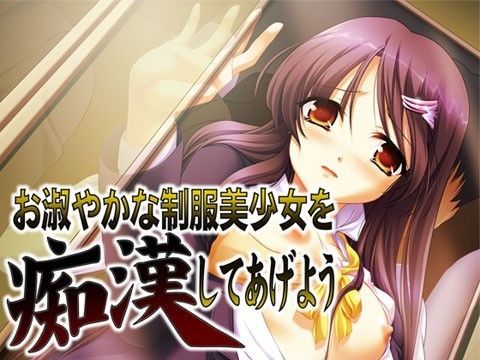 【貧乳】 お淑やかな制服美少女を痴●してあげよう 【d_040404】