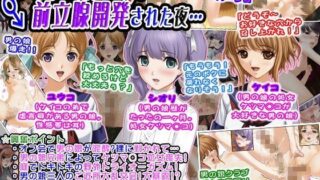 【貧乳】 ボク（男の娘）が前立腺開発された夜… 【d_065307】