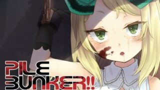 【貧乳】 PileBunker！！ 【d_084141】
