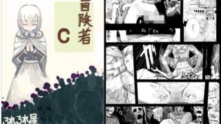 【貧乳】 冒険者C 【d_094479】